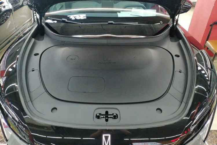 Used  06 2025 Pro Range-Extended Edition
