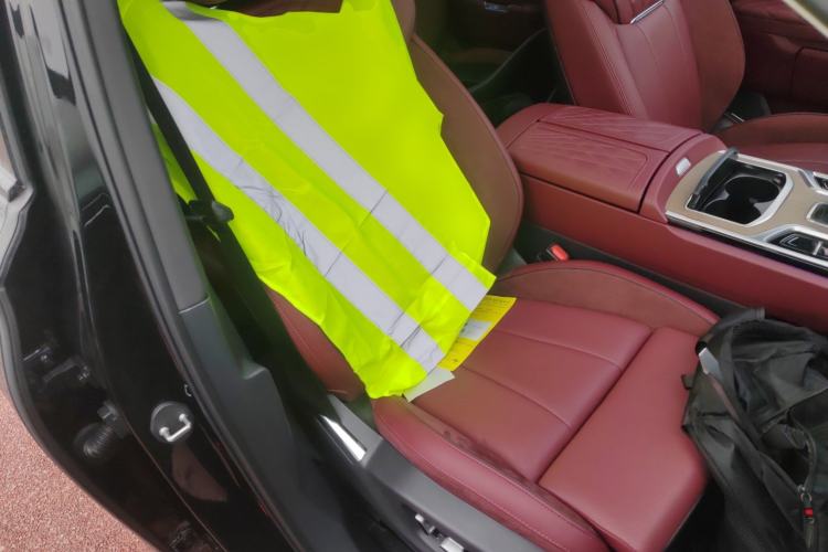 Used Hongqi E-HS9 2022 690 km Range Flagship Edition Six Seats