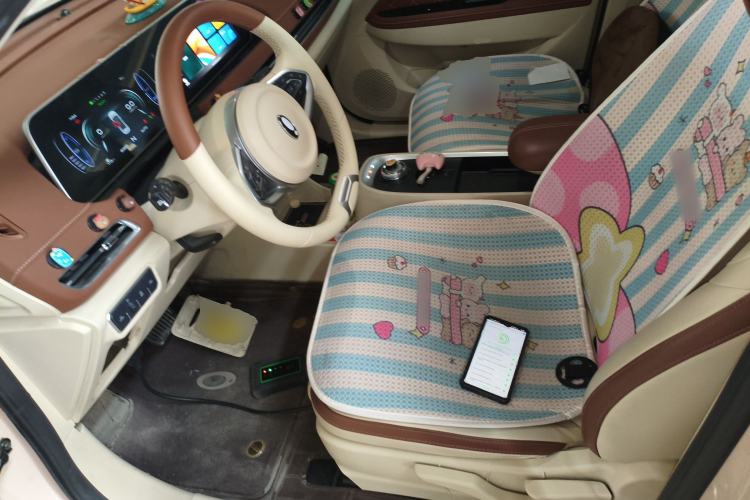 Used ORA Good Cat 2021 400km Standard Range Venus Edition Lithium Iron Phosphate
