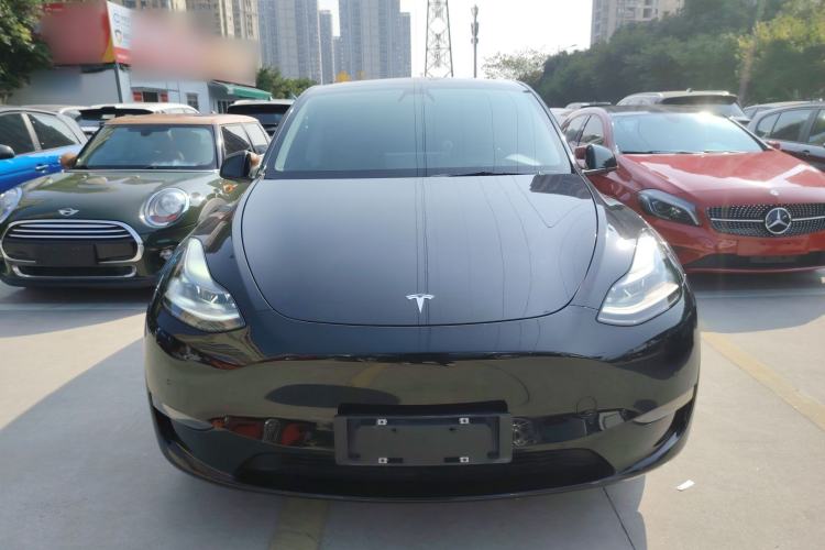 Used Tesla Model Y 2021 Standard Range Rear-Wheel Drive Version
