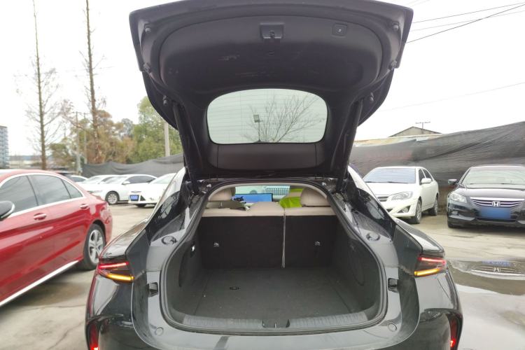 Used  L6 2024 Max Long-Range Version
