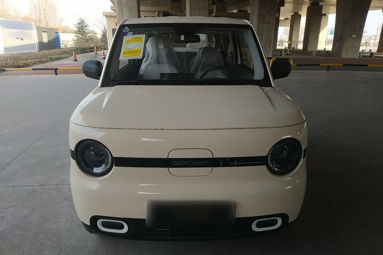 Used  Panda 2025 210 km – Yuanqi Bear