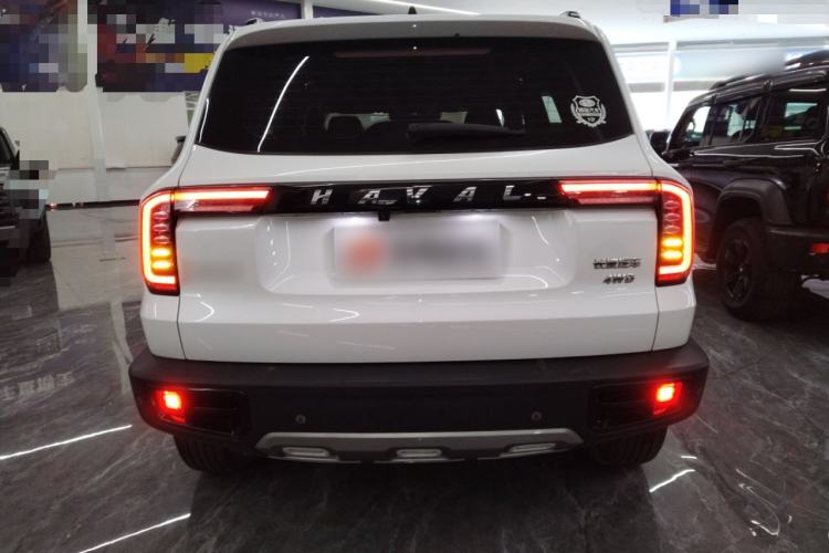 Used Haval DARGO 2021 2.0T DCT 4x4 Chinese Rural Dog Edition
