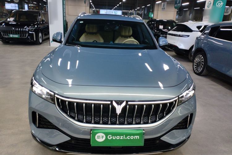 Used VOYAH FREE 2022 Four-Wheel Drive Ultra-Long Range Pure Electric Version