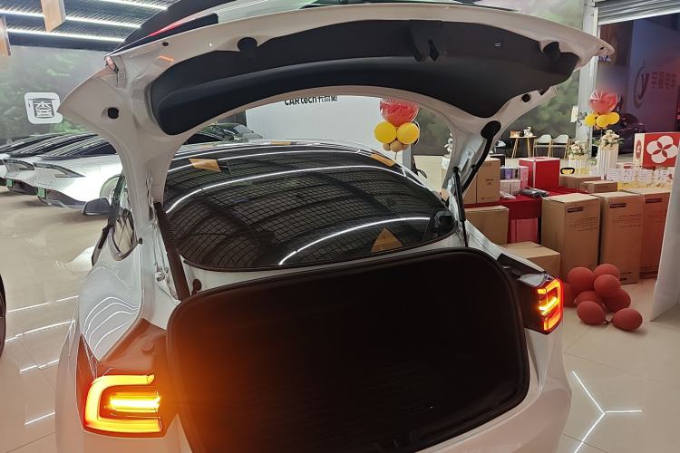 Used Tesla Model 3 2021 Revised Performance Version with All-Wheel Drive 3D1
