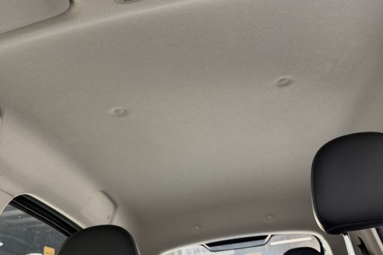 Used ORA Black Cat 2019 351 km Family Edition