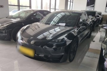 Used Tesla Model 3 2022 Performance High-Performance All-Wheel-Drive Version