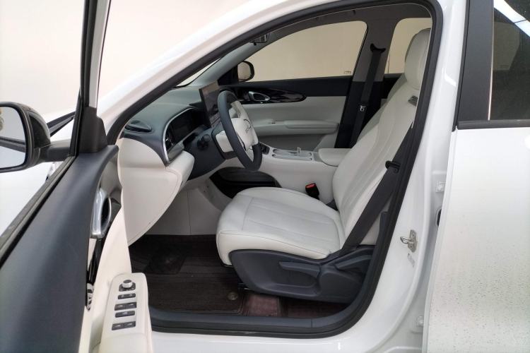 Used  Geome 2025 310km Dream Edition
