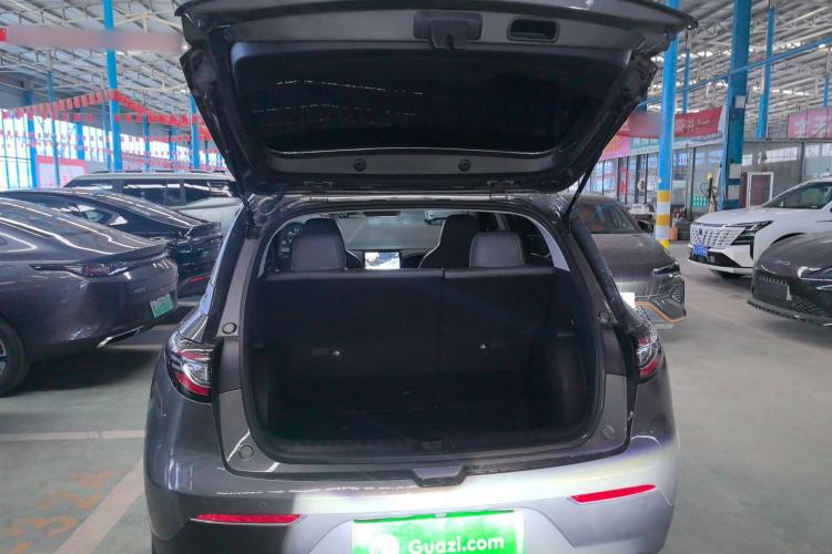 Used  Geome 2025 310km Youth Edition
