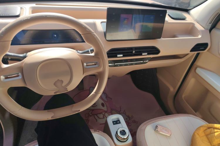 Used  Panda 2023 Panda Mini 200km Endurance Bear