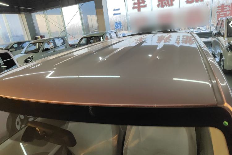 Used  Panda 2025 210 km – Yuanqi Bear