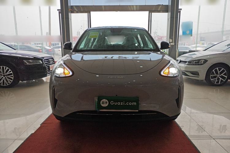 Used  Geome 2026 Model 310km Dream Edition