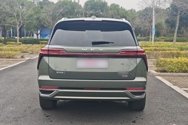 Used Wey Lanshan 2025 Four-Wheel Drive Ultra
