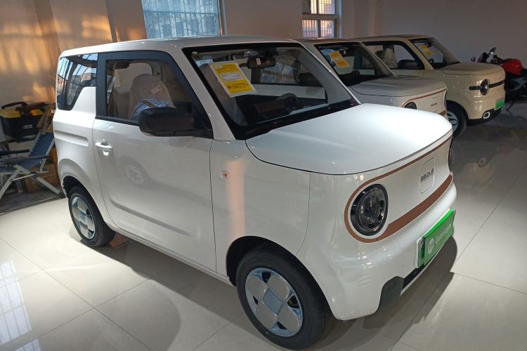 Used  Panda 2024 Panda Mini 200km Endurance Bear