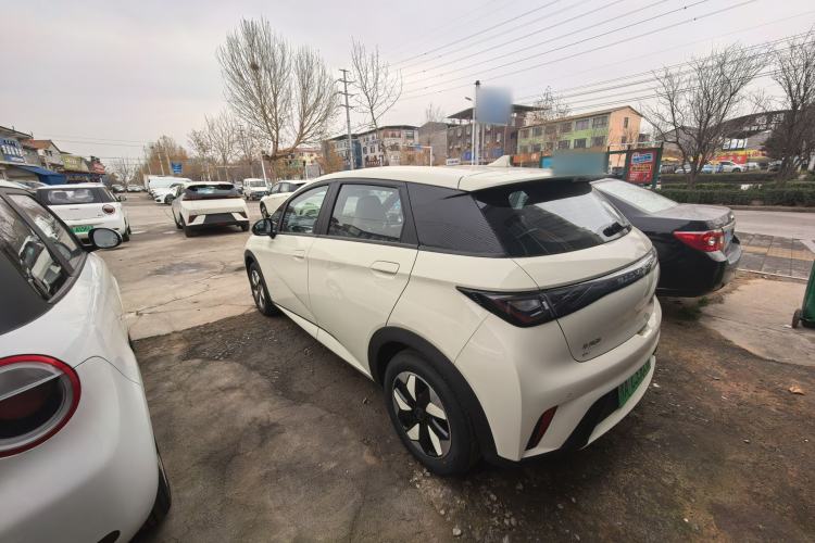 Used BYD Dolphin 2025 420km Free Edition
