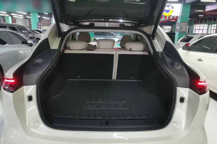 Used  LS6 2023 Max Standard Edition
