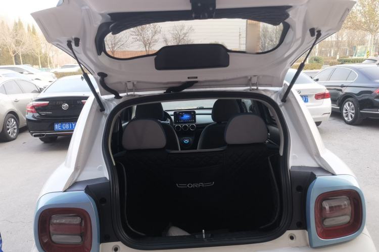 Used ORA Black Cat 2019 351 km Goddess Edition
