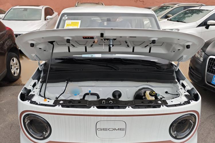 Used  Panda 2024 Panda Mini 200km Endurance Bear
