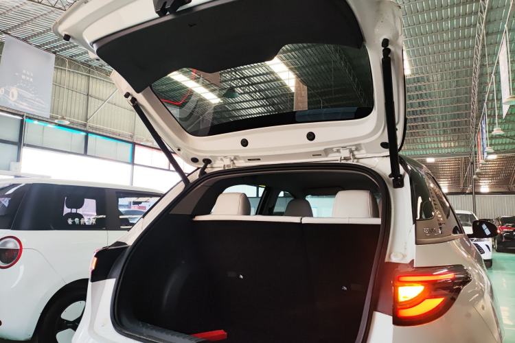 Used  Geome 2025 310km Dream Edition
