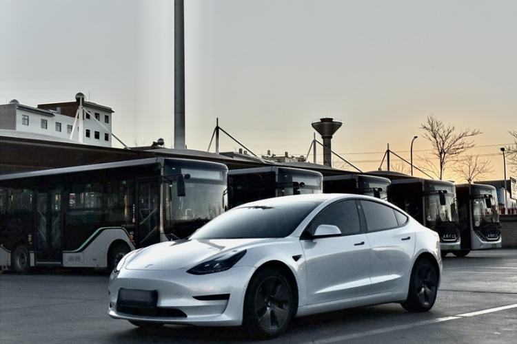 Used Tesla Model 3 2022 Rear-Wheel-Drive Version