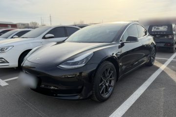 Used Tesla Model 3 2019 Standard Range Rear-Drive Upgraded Version