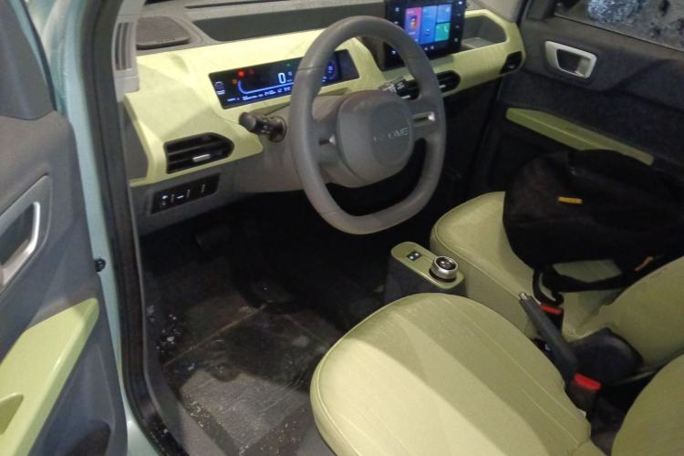 Used  Panda 2023 Panda Mini 200km Endurance Bear
