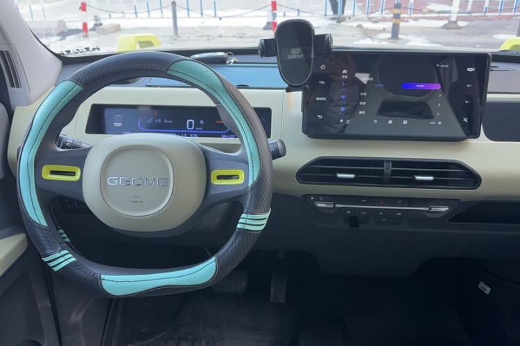 Used  Panda 2024 200km Panda Rider