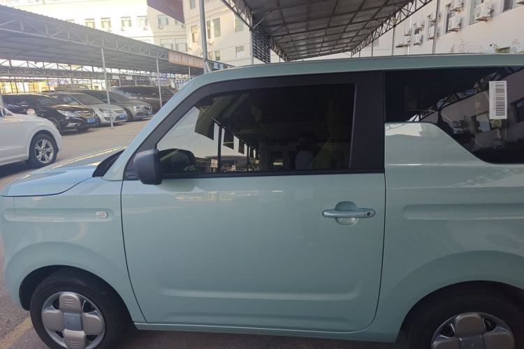 Used  Panda 2024 Panda Mini 200km Endurance Bear
