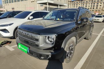 Used Haval DARGO 2024 2.0T DCT Chinese Rural Dog Edition