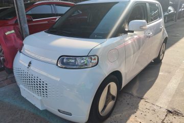 Used ORA White Cat 2020 360 km Luxury Version