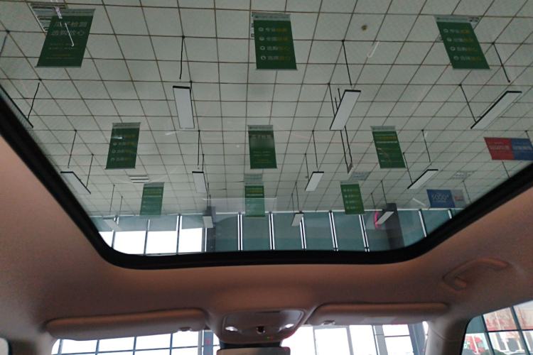 Used  #1 2024 Dynamic Standard Edition