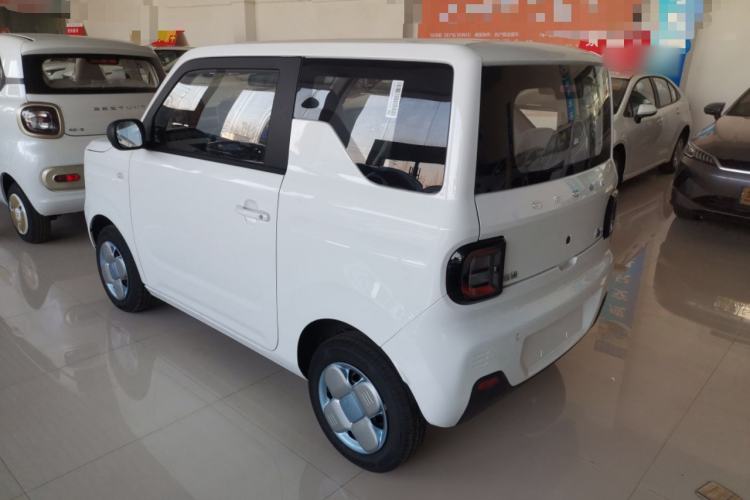 Used  Panda 2024 Panda Mini 200km Endurance Bear
