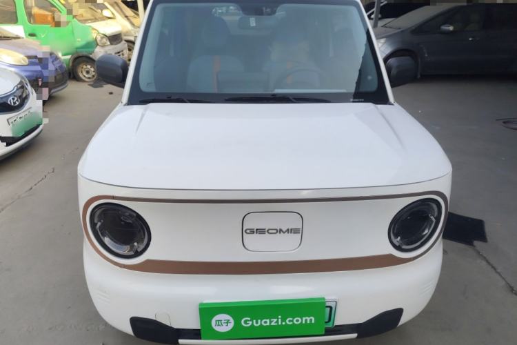 Used  Panda 2023 Panda Mini 200km Endurance Bear
