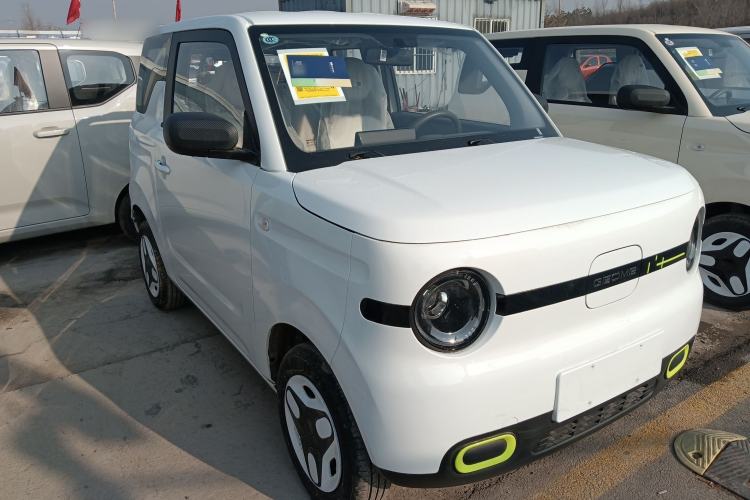 Used  Panda 2025 210 km – Yuanqi Bear
