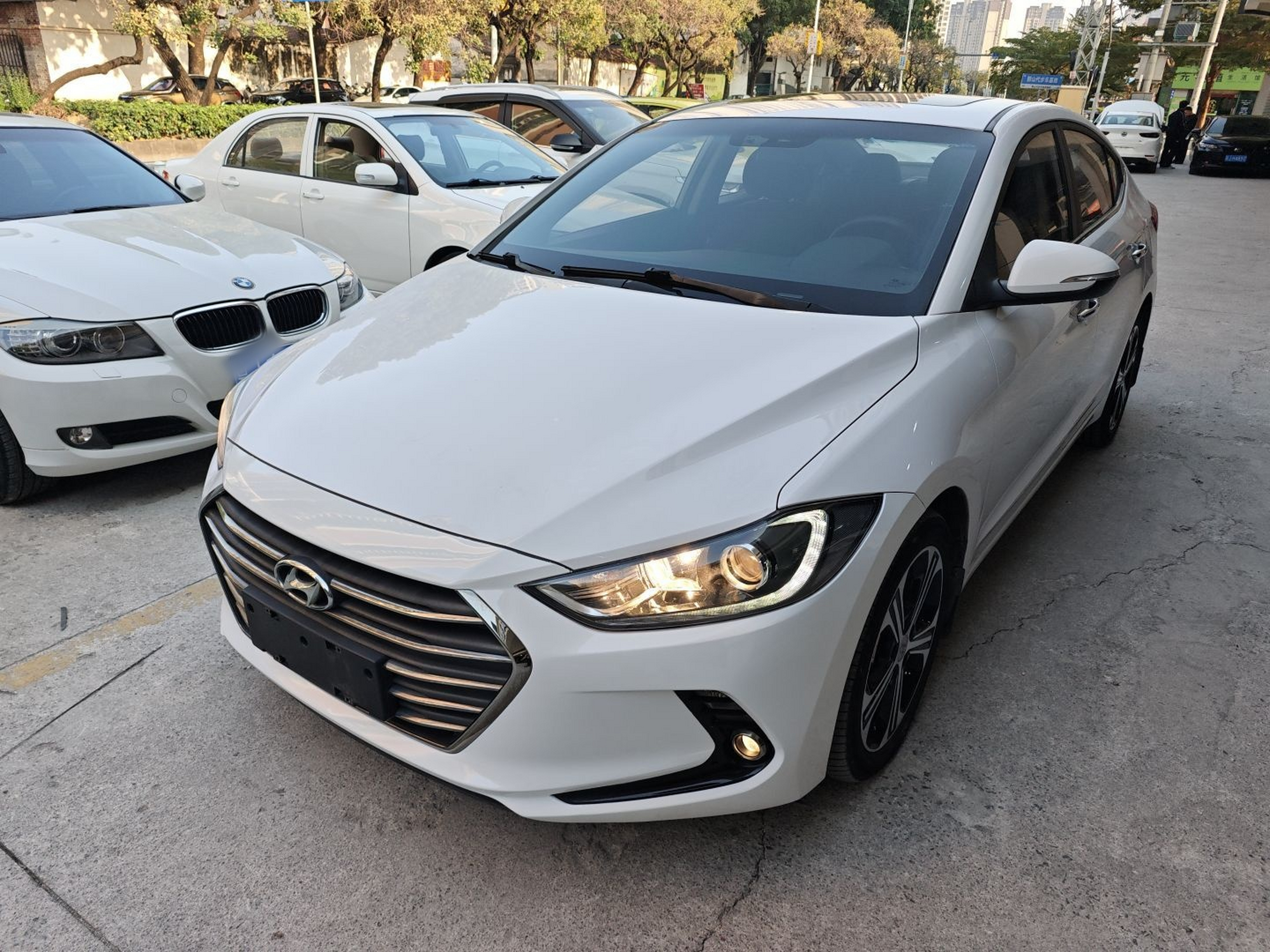 تحت مقدمة السيارة