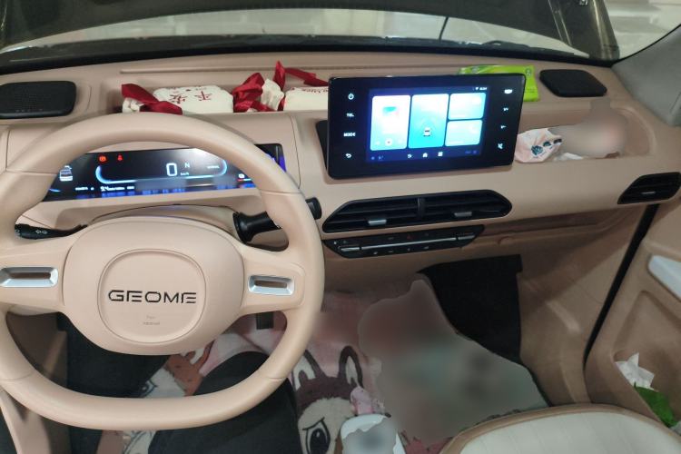 Used  Panda 2024 200km Panda Kart
