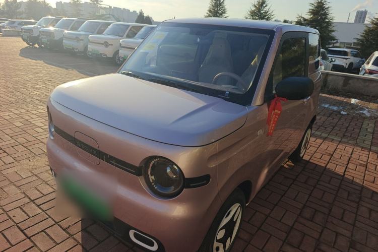 Used  Panda 2025 210 km – Yuanqi Bear
