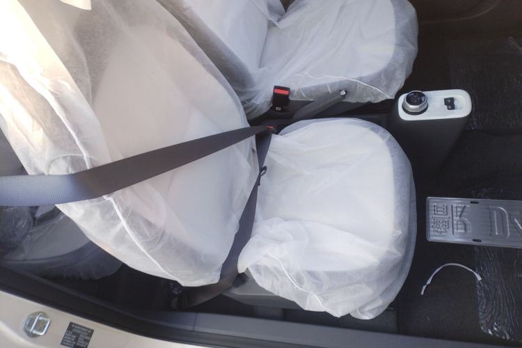 Used  Panda 2025 210 km – Yuanqi Bear
