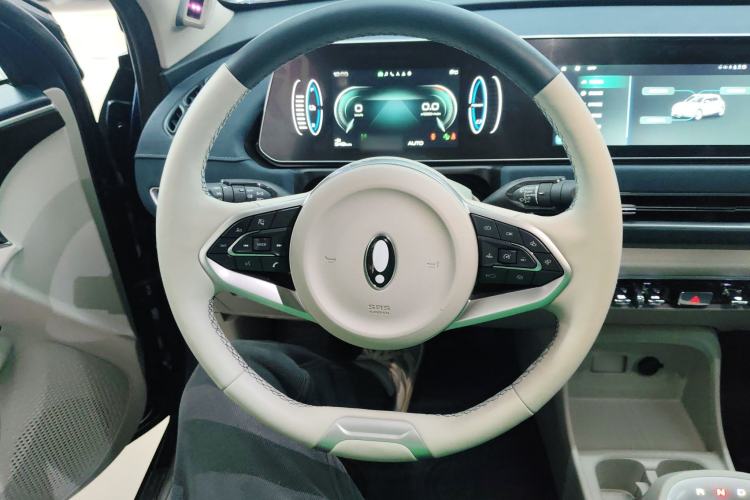 Used ORA Good Cat 2022 Morandi Edition 400km Standard Range Premium Version Lithium Iron Phosphate