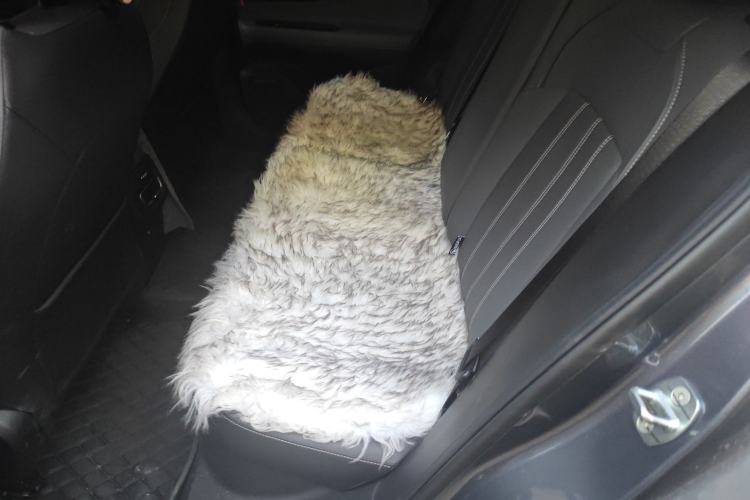 Used GAC Trumpchi EMPOW 2024 270T DCT Yingbao R-Style Edition
