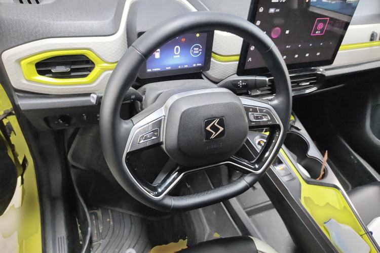 Used SOL E10X 2022 Flower Fairy Style Baby's Breath
