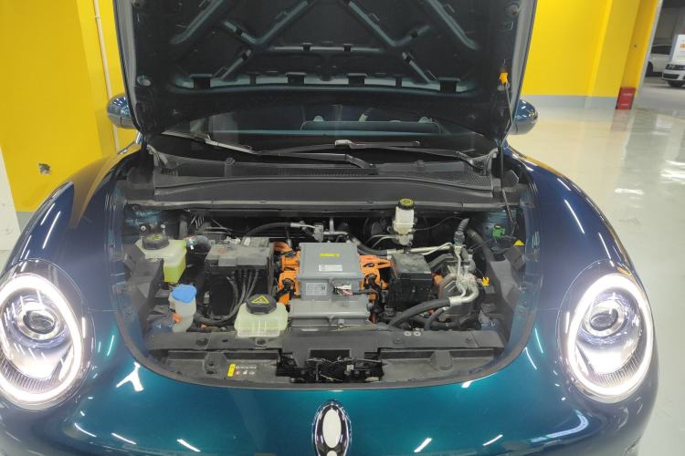 Used ORA Good Cat 2023 401 km Standard Range Luxury Version Lithium Iron Phosphate
