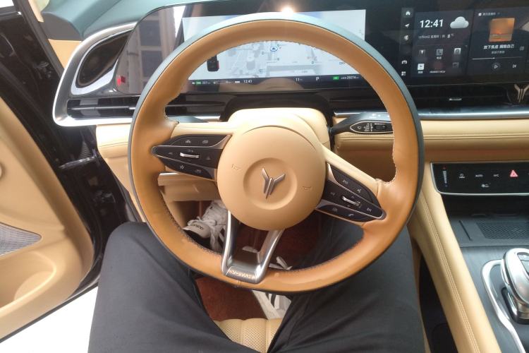 Used VOYAH Dream 2024 PHEV Ultra-Long Range Flagship Edition