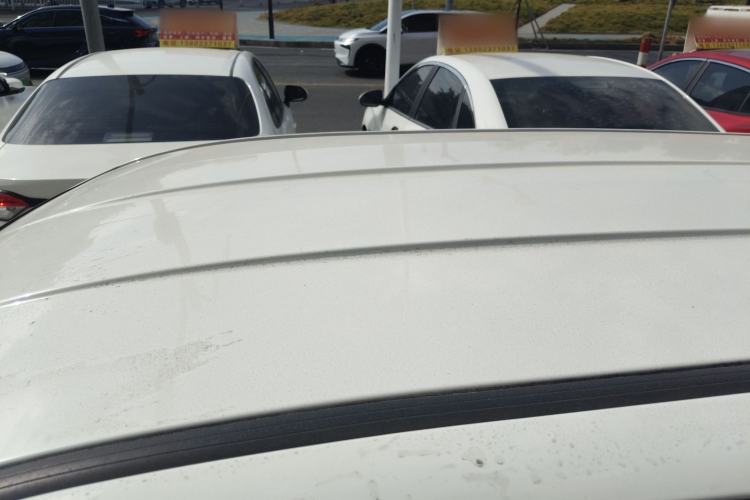 Used  COCO 2021 Alliance Pro Edition