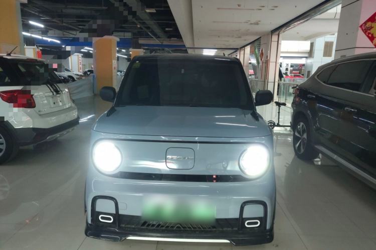 Used  Panda 2024 200km Panda Kart
