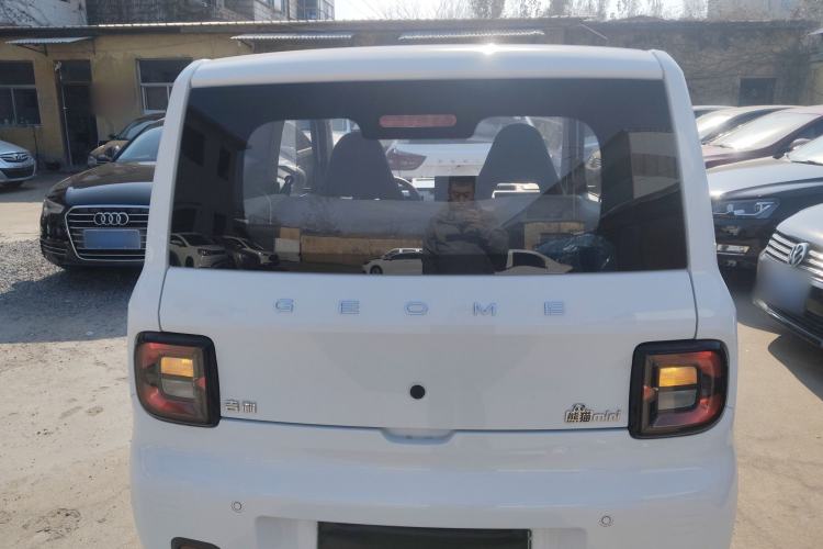 Used  Panda 2024 Panda Mini 200km Endurance Bear
