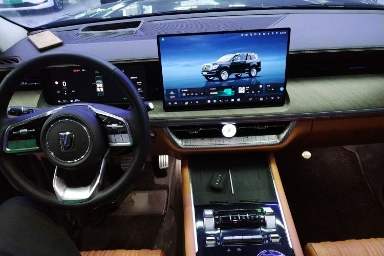 Used Tank 500 New Energy 
