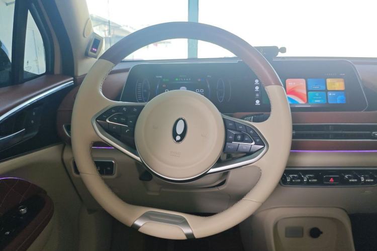 Used ORA Good Cat 2021 400km Standard Range Athena Edition Lithium-Ion Battery
