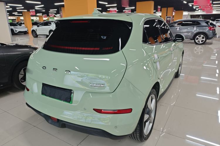 Used ORA Good Cat 2023 401 km Standard Range Luxury Version Lithium Iron Phosphate
