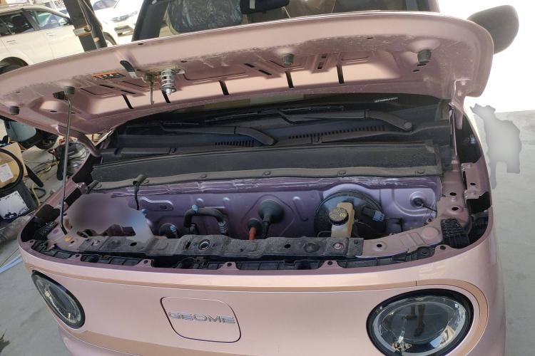 Used  Panda 2024 Panda Mini 200km Endurance Bear
